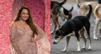 ‘How soulless we’ve become’: Sonakshi Sinha on SC stray dogs relocation