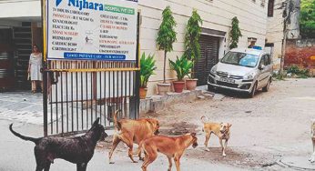 Animal lovers meet Delhi Mayor for ‘humane’ relocation of stray dogs