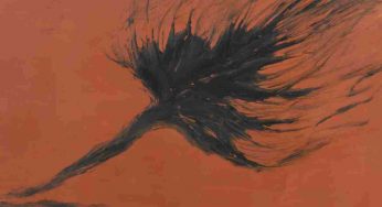 ‘Light as Creation’: A solo exhibition by Divyaman Singh