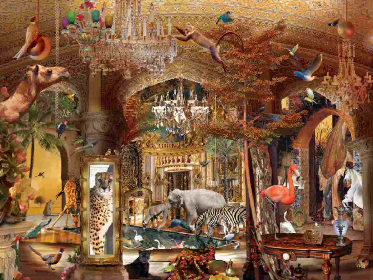 Delhi Contemporary Art Week 2025