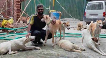 Delhi court rejects animal care centre’s plea for more time to file report on seized dogs