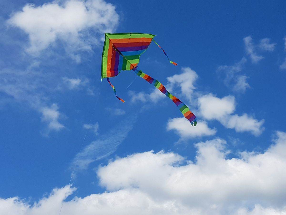 Independence Day: Discoms urge people to not use metal-coated strings to fly kites