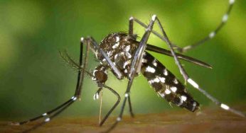 Dengue and Malaria cases surge in Delhi as monsoon intensifies