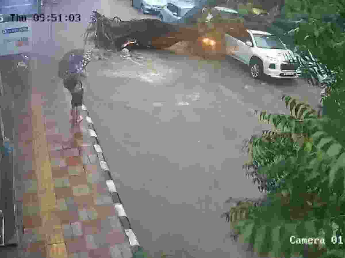 Delhi: Man, daughter injured as tree falls on bike in Kalkaji amid heavy rain