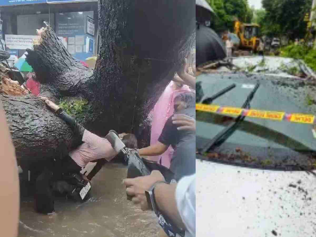 Delhi: Man dies as huge tree falls on vehicles in Kaklaji amid rain, daughter critically injured