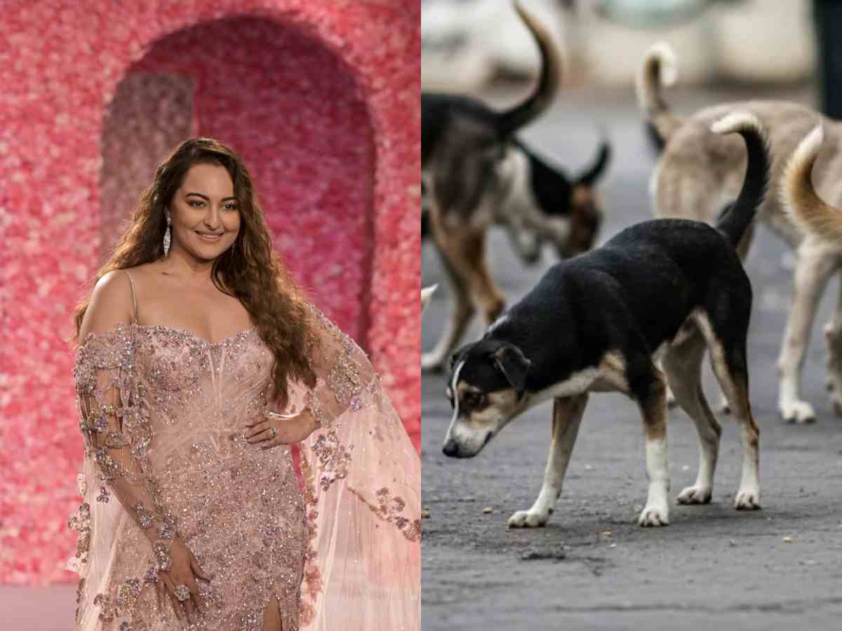 ‘How soulless we’ve become’: Sonakshi Sinha on SC stray dogs relocation