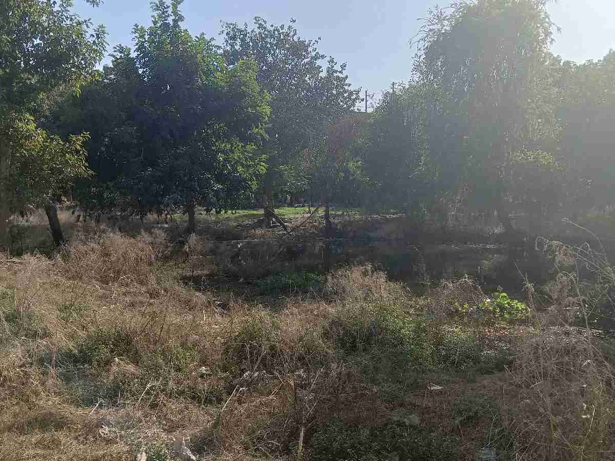 A now abandoned farmland which used to once yield a host of crops according to A now abandoned farmland which used to once yield a host of crops according to residents
