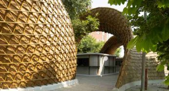 The Hungry Caterpillar: Apoorva Shroff’s bamboo vision for sustainable design