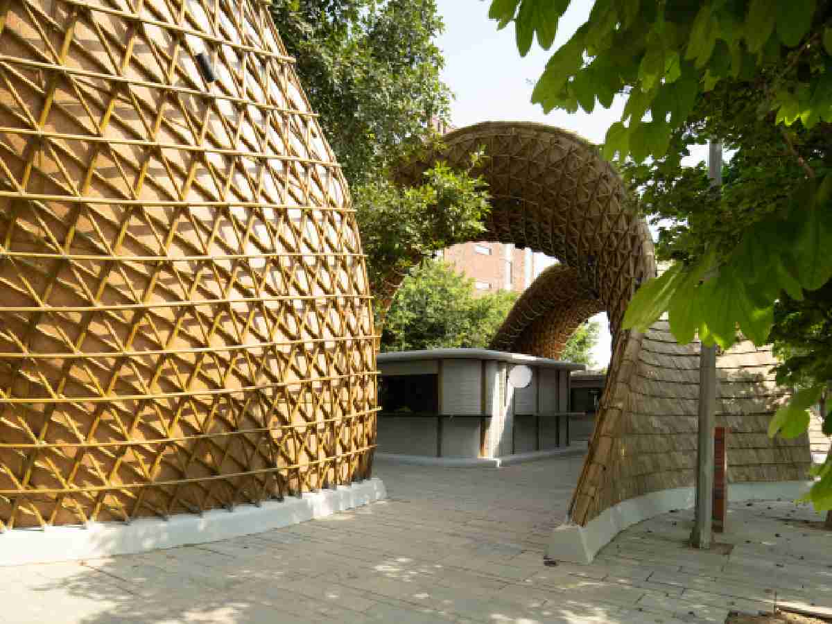 The Hungry Caterpillar: Apoorva Shroff’s bamboo vision for sustainable design