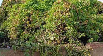 20 years later, Nithari murders still haunt victims’ families