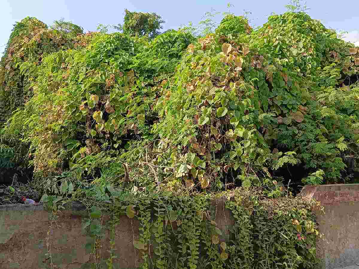 20 years later, Nithari murders still haunt victims’ families