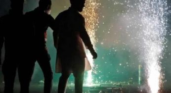 Animal activists fear rise in cruelty as Delhi prepares to celebrate Diwali with green crackers