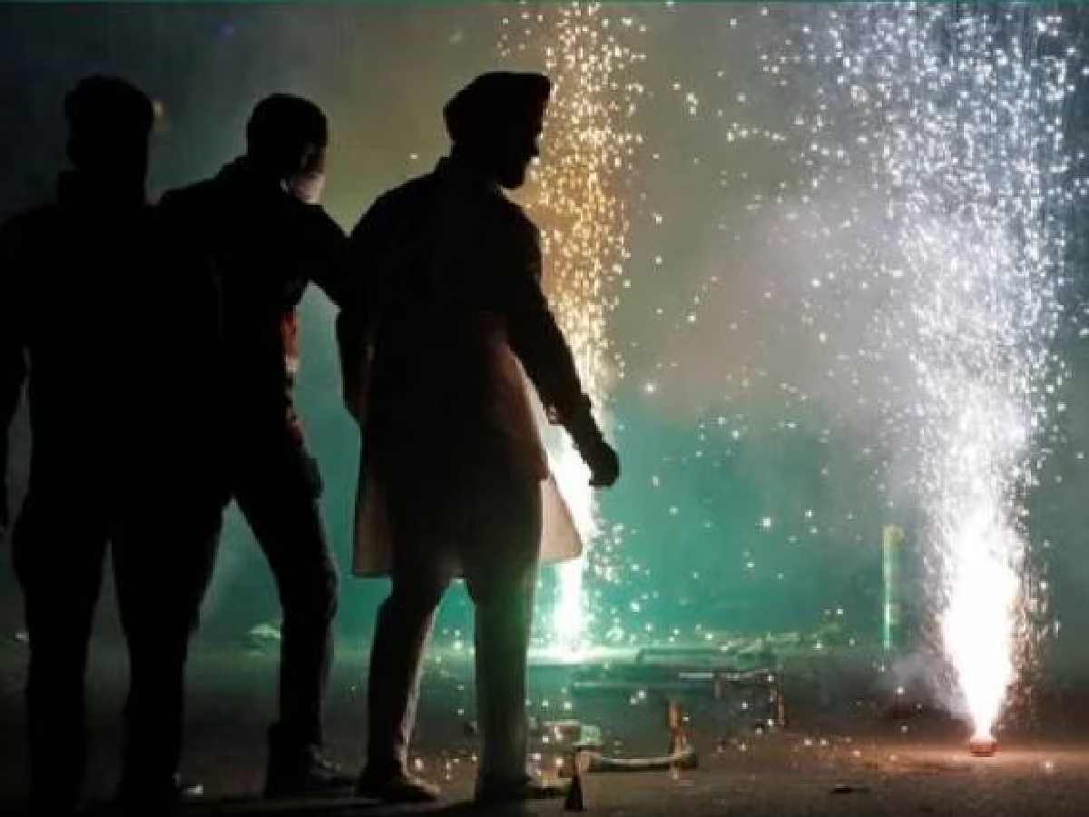 Animal activists fear rise in cruelty as Delhi prepares to celebrate Diwali with green crackers