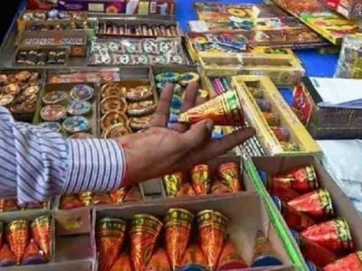 Delhi Police seizes 223 kg illegal firecrackers, man arrested