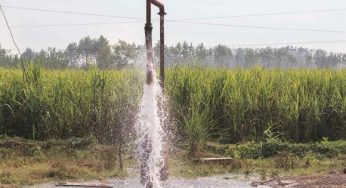 Delhi’s groundwater crisis runs deeper than smog