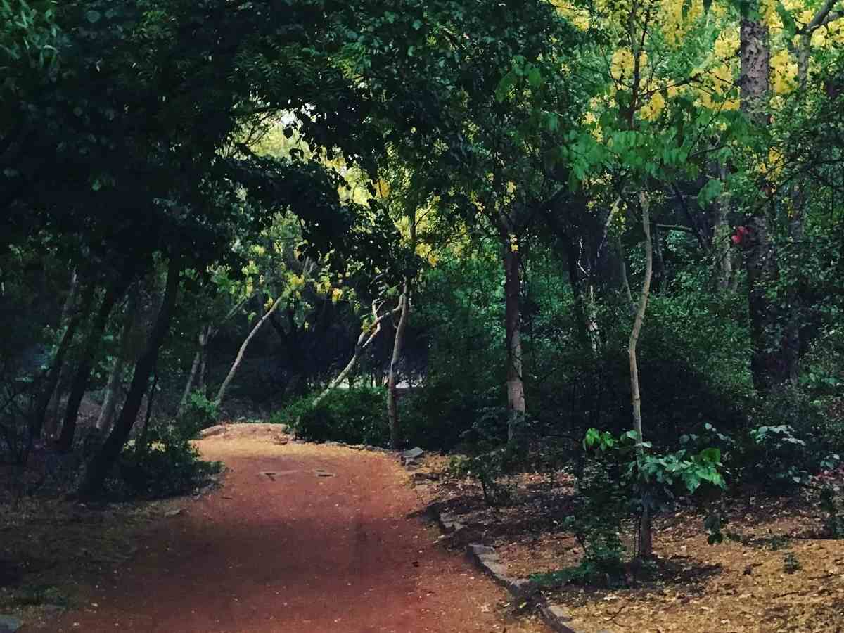 Criminal shot at by police in Delhi near Sanjay Van