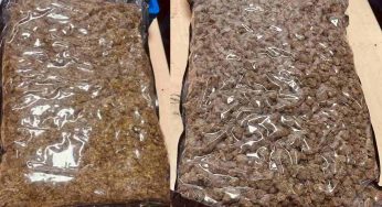 Narcotics worth over Rs 7 cr seized by customs at Delhi airport