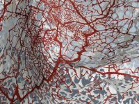 ‘Shadows of Breath’: a solo exhibition by Ravi Kashi