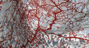 ‘Shadows of Breath’: a solo exhibition by Ravi Kashi