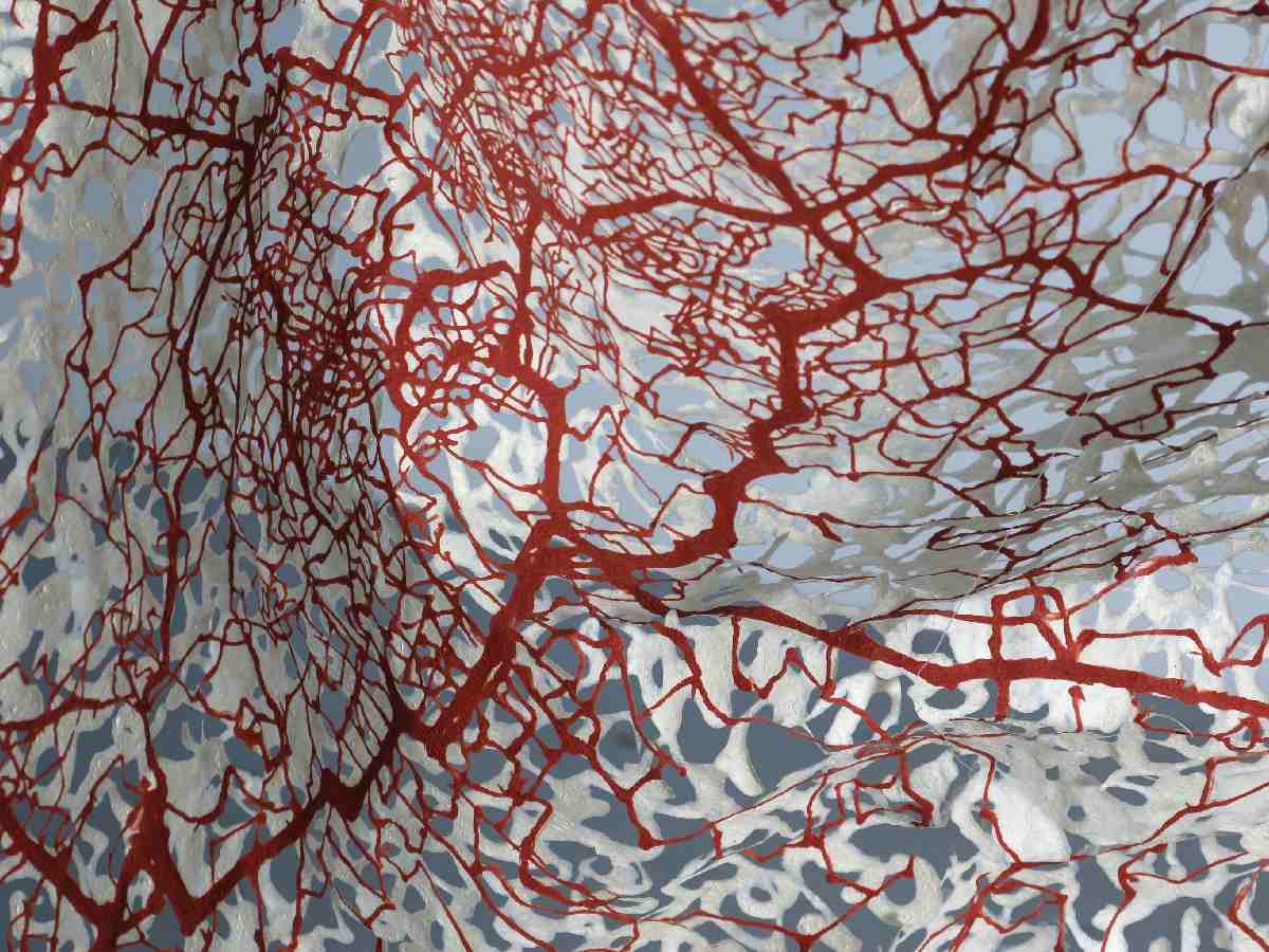 ‘Shadows of Breath’: a solo exhibition by Ravi Kashi