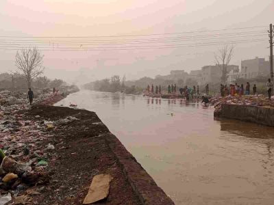 NGT asks Delhi govt, others to implement recommendation to preserve native fish species in Yamuna