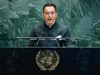 AI Summit in New Delhi platform for Global South to shape international AI agenda: India