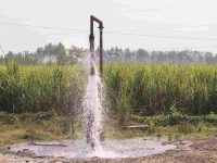 Delhi’s groundwater salinity rises sharply, placing the capital in a high-risk category