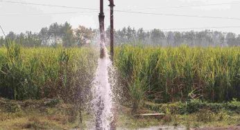 Delhi’s groundwater salinity rises sharply, placing the capital in a high-risk category