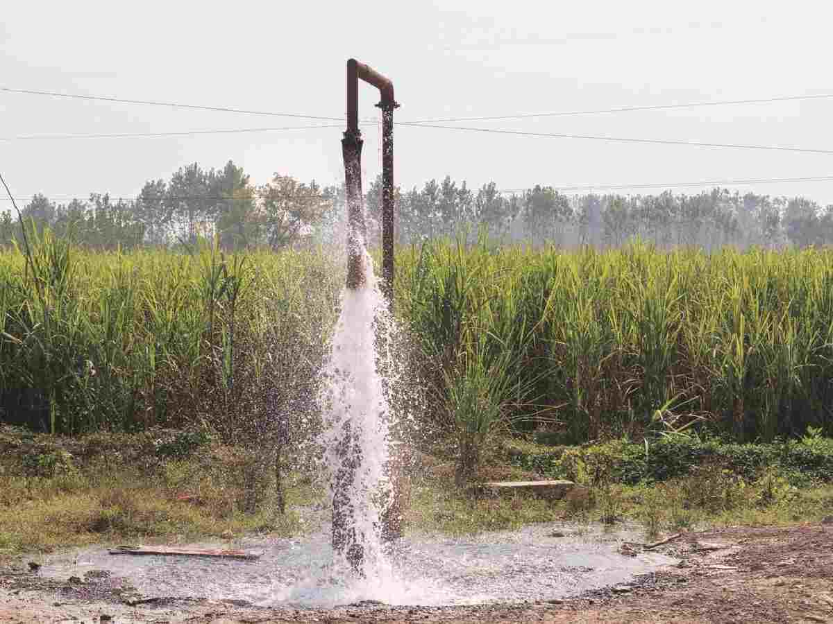 Delhi’s groundwater salinity rises sharply, placing the capital in a high-risk category