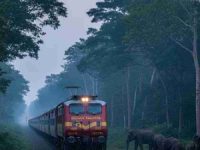 Sairang-New Delhi Rajdhani Exp mows down 7 elephants in Assam