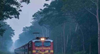 Sairang-New Delhi Rajdhani Exp mows down 7 elephants in Assam