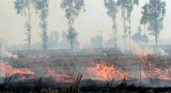 Satellites missing most farm fires in Punjab, Haryana; impact on Delhi highly underestimated: Report