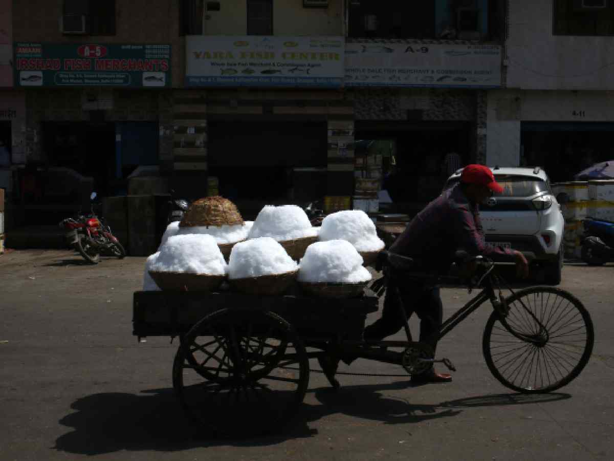 Sentinels of smog: migrant workers who keep Delhi running