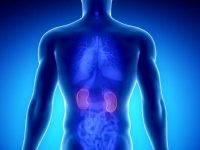 Chronic kidney diseases may accelerate cognitive decline; effects sex-specific: Study