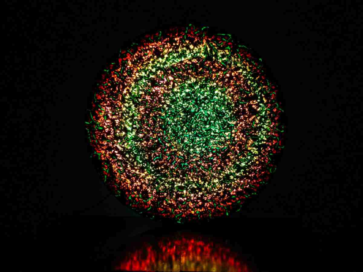 ‘What Remains Awake’: a solo exhibition by Sonika Agarwal