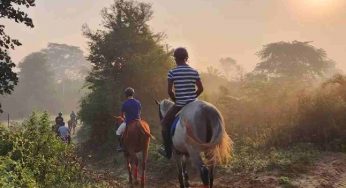 5 horse riding getaways in and around Delhi-NCR