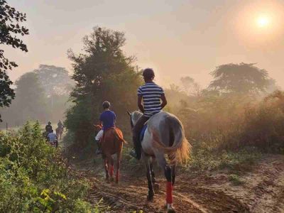 5 horse riding getaways in and around Delhi-NCR