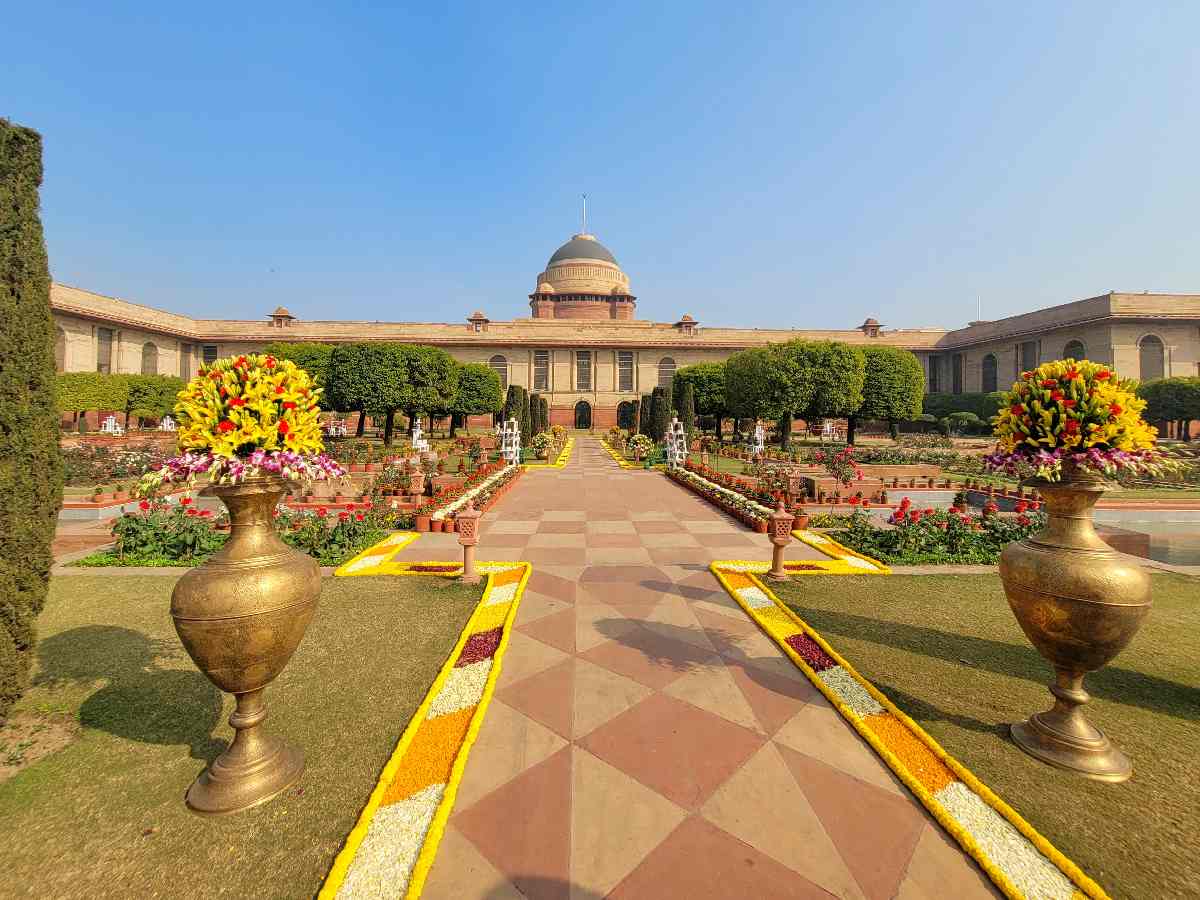 Seasonal flowers in full bloom at Amrit Udyan