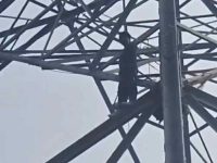 Rickshaw puller climbs high-tension pole in north Delhi over family dispute, rescued