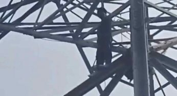 Rickshaw puller climbs high-tension pole in north Delhi over family dispute, rescued