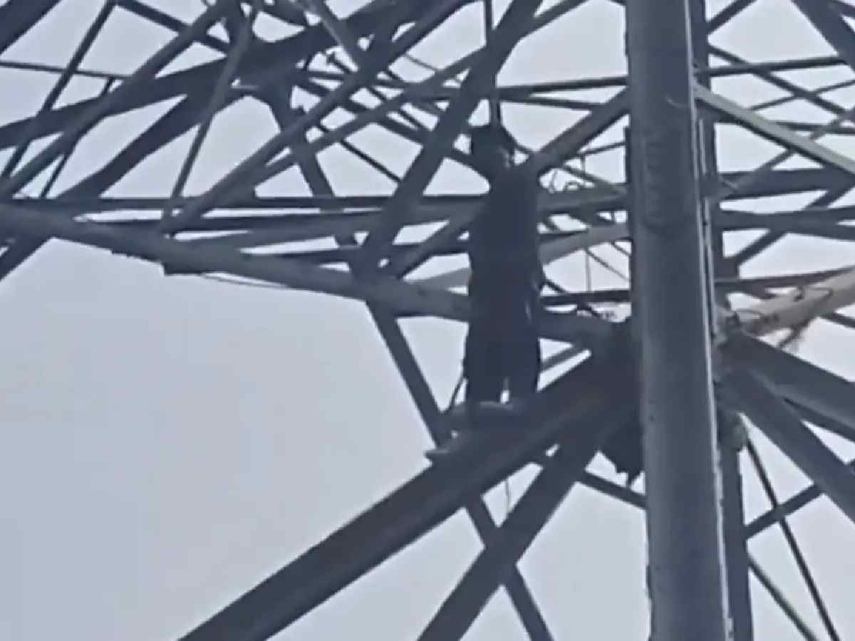 Rickshaw puller climbs high-tension pole in north Delhi over family dispute, rescued