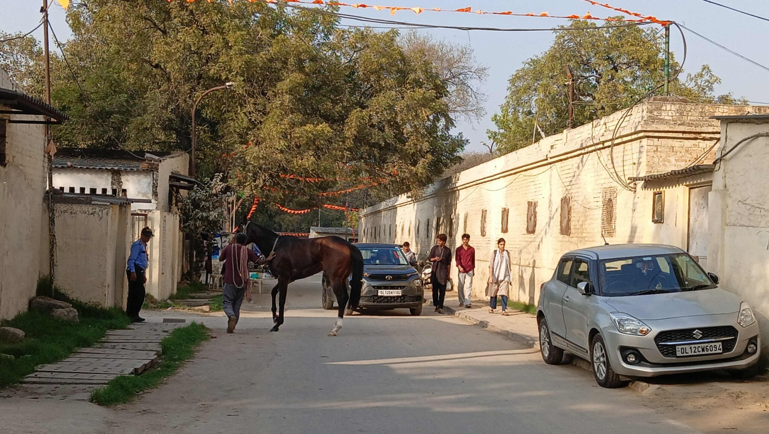 Horses are tended to by the residents at the three slum clusters