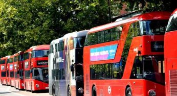 Double-decker bus cruise along Lutyens’ Delhi roads draws 800 passengers in first month