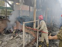 Fire breaks out at Nature Bazaar in south Delhi, around 50 shops gutted