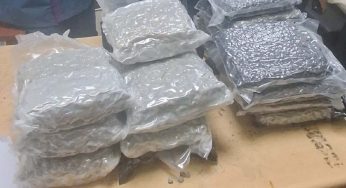 Marijuana worth Rs 18.5 cr recovered from trolley bags abandoned inside aircraft at Delhi airport