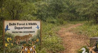 Delhi govt creates nine new wildlife inspector posts