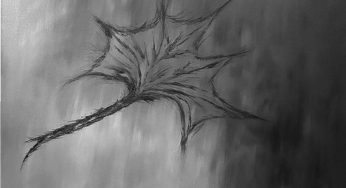 Shades of Grey: A contemporary art exhibition