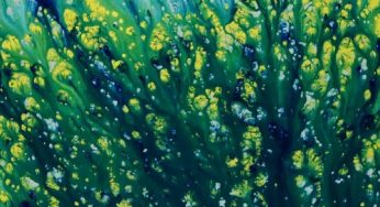 ‘emotions of (BOM)bay’: Swati Goel’s solo exhibition