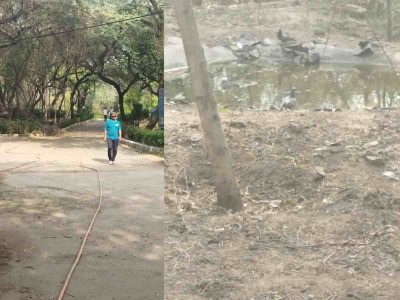 Jackals, ghosts, and silence: walking Delhi’s ancient Ridge