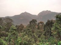 Delhi govt grants Reserved Forest status to 673 ha of Central Ridge
